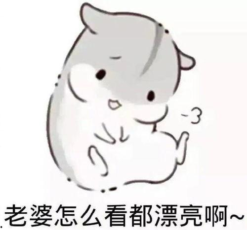 要老公抱的表情包,抱抱！表情包里的甜蜜瞬间